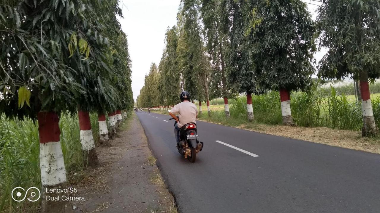 Rumah Singgah Peziarah Ganjuran Bantul Luaran gambar